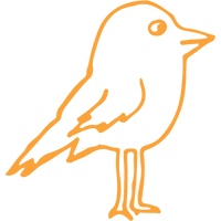 Follow Scribble on Twitter